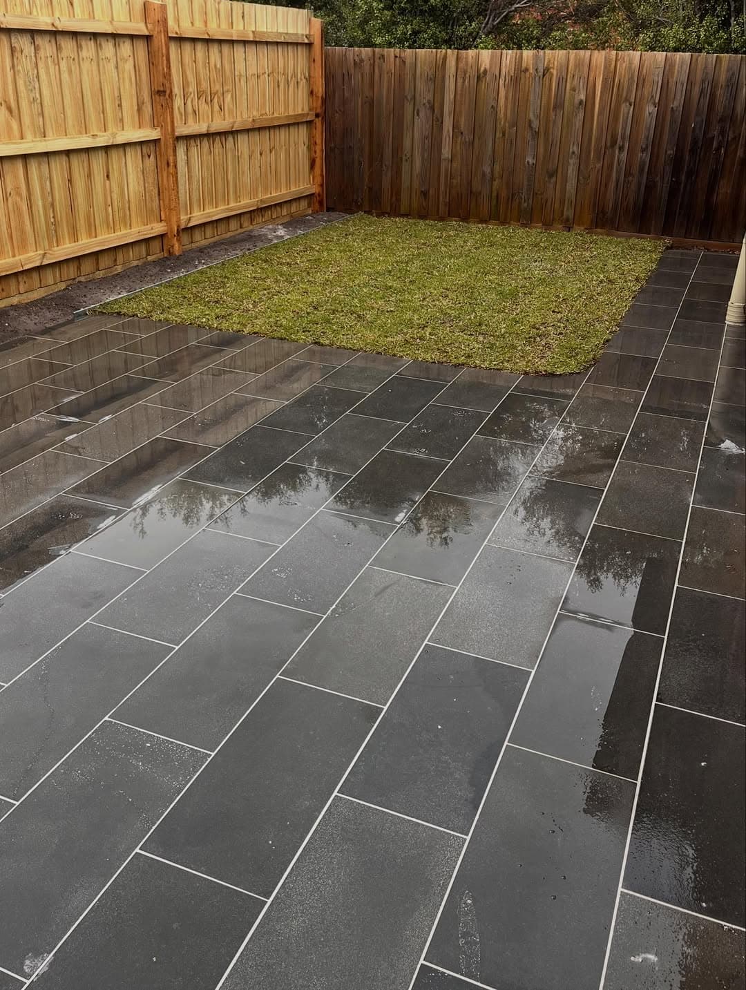 Carnegie — Lunella Landscapes