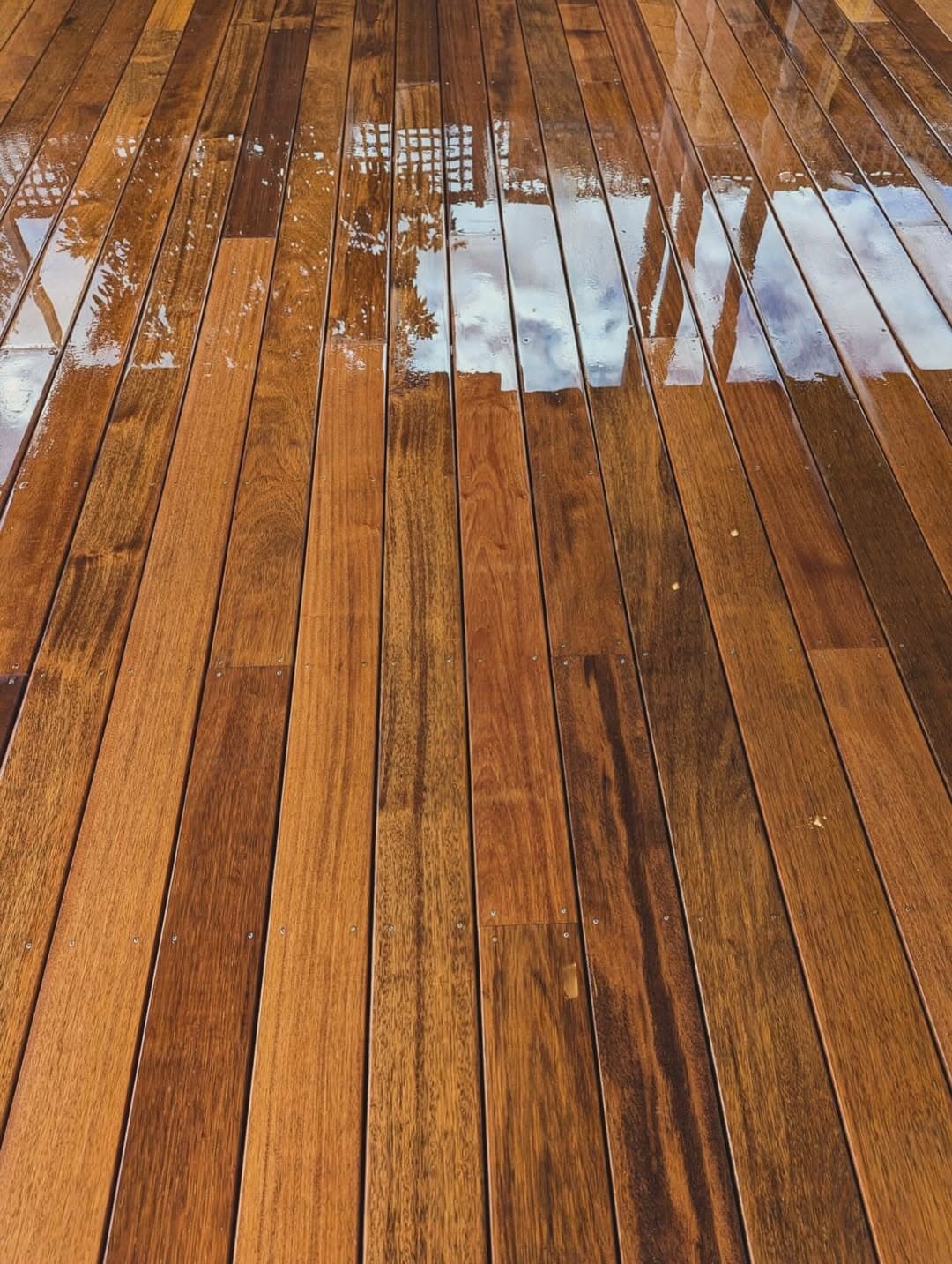 Caulfield — Lunella Landscapes