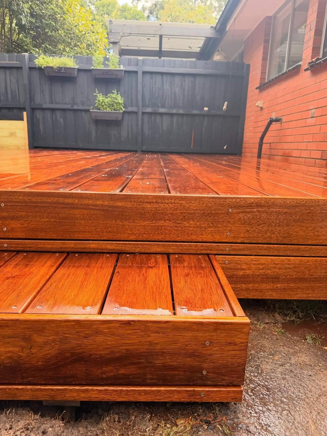 Croydon — Lunella Landscapes
